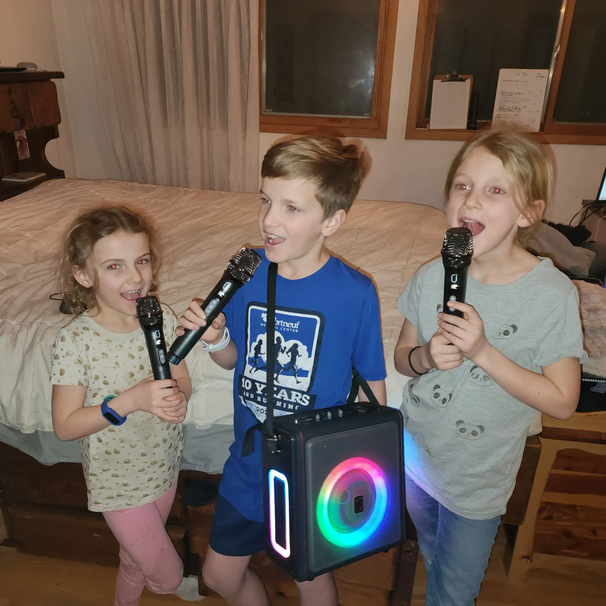PPMIC 300W Retro Leather Karaoke Machine with 3 Microphones & Pitch Correction - Image 4