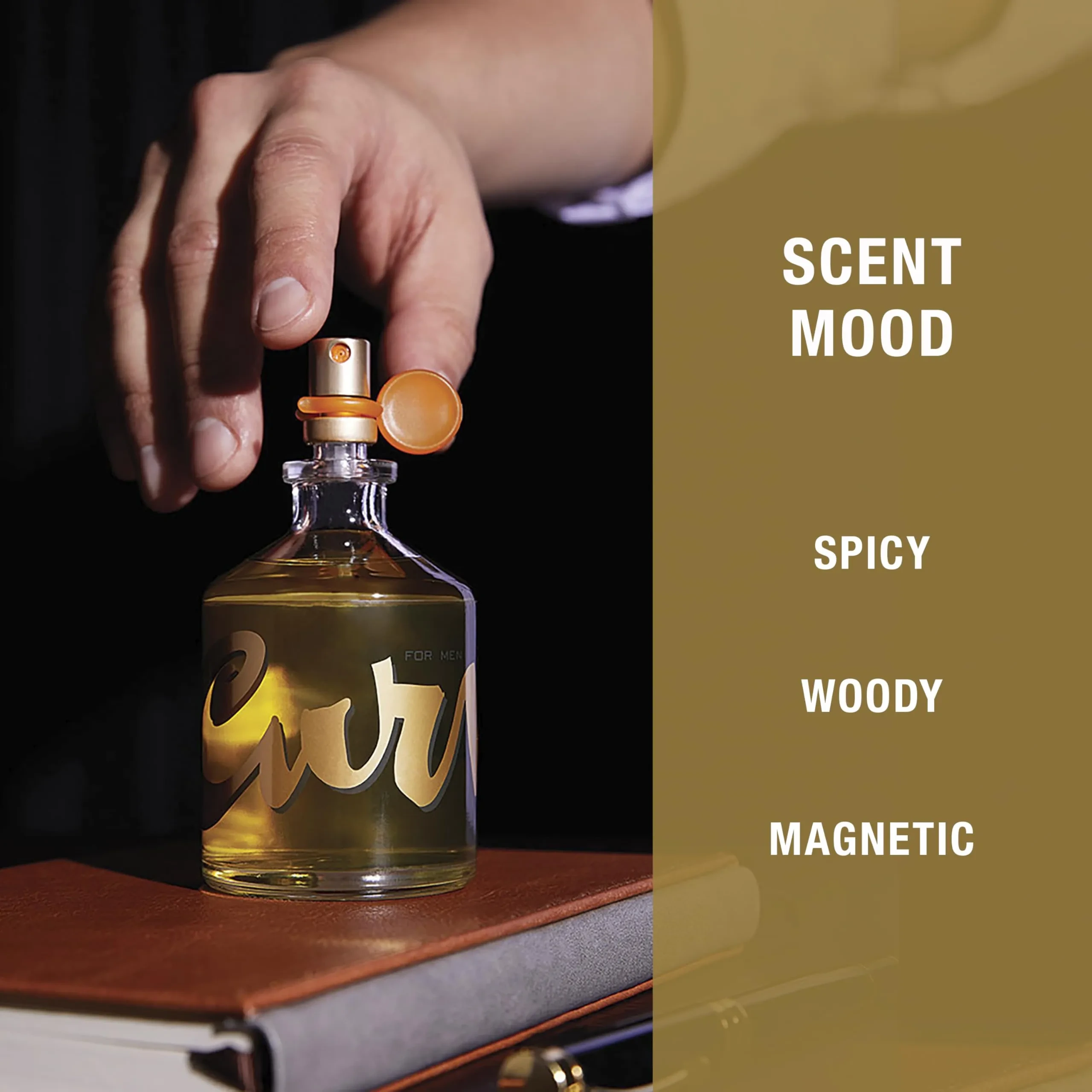 Curve for Men Cologne Spray - Spicy Woody Magnetic Scent (4.2 fl oz) - Image 18